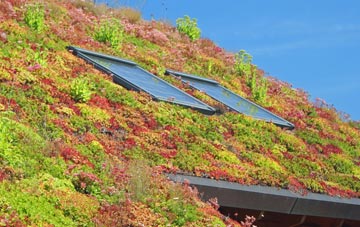 Mossend living roof systems