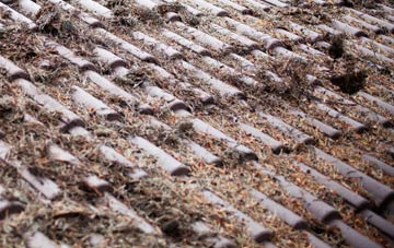 Mossend roof cleaning companies