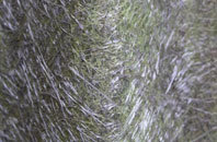 Mossend fibreglass roof work